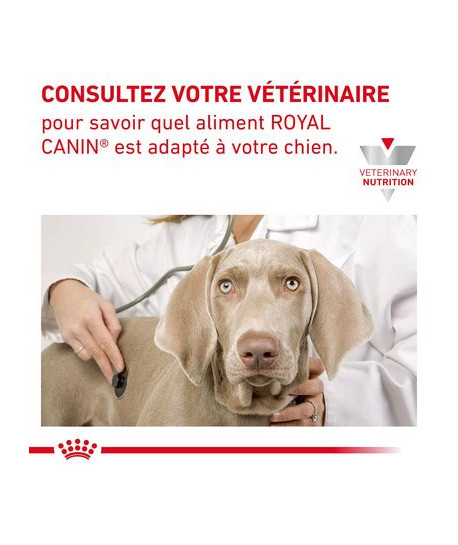 royal canin adult neutered dog food