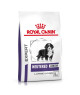 Royal Canin Neutered Junior Large Dog