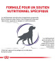 Royal Canin Dog Mature Consult Medium
