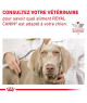 Royal Canin Dog Mature Consult Medium