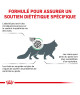 Royal Canin Cat Satiety Weight Management