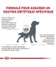Royal Canin Dog Anallergenic