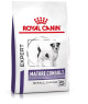 Royal Canin Dog Mature Consult Small Dog