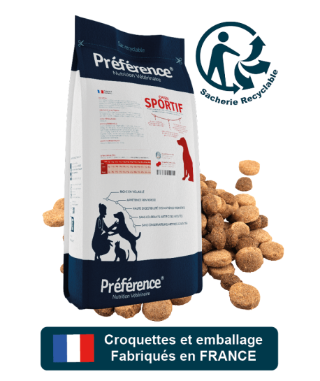 Préférence Chien Sportif