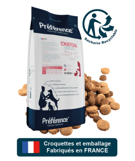 Préférence Chaton