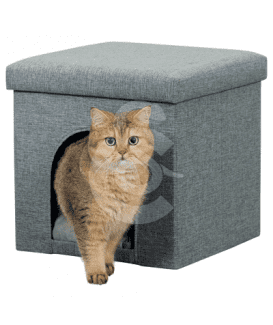 Cube Alois