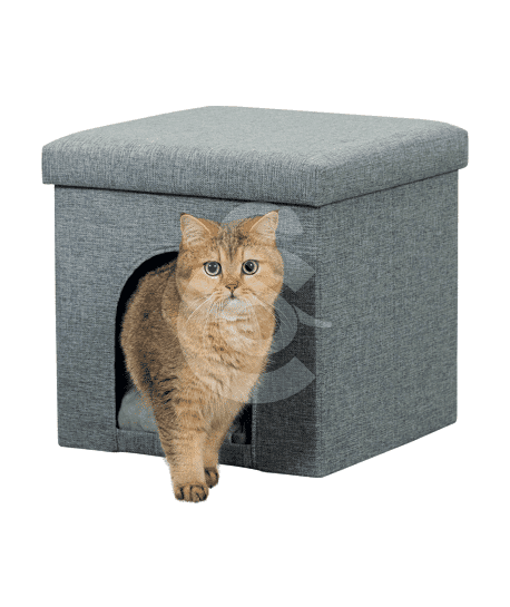 Cube Alois