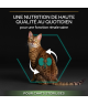 Pro Plan Cat Sterilised Adult Renal Plus Dinde