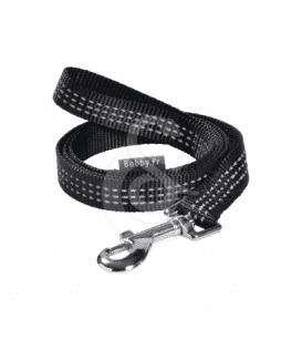 Laisse Easy Safe