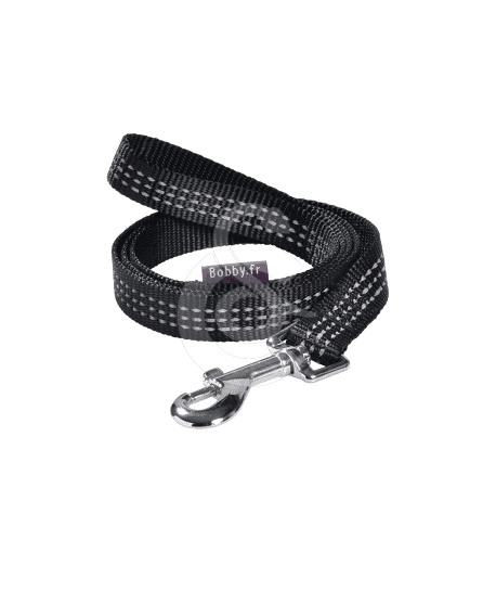 Laisse Easy Safe