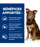 Chien Metabolic Weight Loss & Maintenance Boeuf