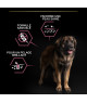 Pro Plan Dog Large Robust Adult Sensitive Skin Saumon