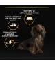 Pro Plan Dog Small / Mini Adult Everyday Nutrition Poulet