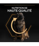 Pro Plan Dog Large Robust Adult Everyday Nutrition Poulet