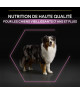Pro Plan Dog Medium / Large Adult 7+ Poulet Age Defence