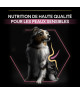 Pro Plan Dog Medium Adult Sensitive Skin Saumon