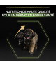Pro Plan Dog Large Robust Puppy Healthy Start Poulet