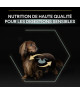 Pro Plan Dog Small / Mini Adult Grain Free Sensitive Digestion Dinde