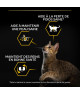 Pro Plan Cat Light Adult 1+ Dinde