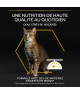 Pro Plan Cat Light Adult 1+ Dinde