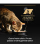Pro Plan Cat Adult Maintenance Poulet