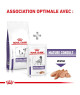 Royal Canin Dog Mature Consult Small Dog