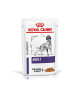 Royal Canin Dog Adult  Sachet repas en sauce