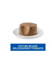 Chien Puppy & Mother Mousse Poulet