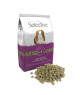 Selective Guinea Pig (Cochon d'Inde)