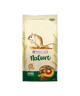 Gerbil Nature