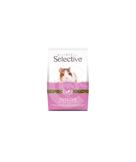 Selective junior Guinea Pig (Cochon d'Inde)
