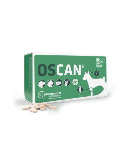 Oscan