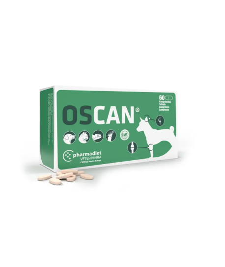 Oscan