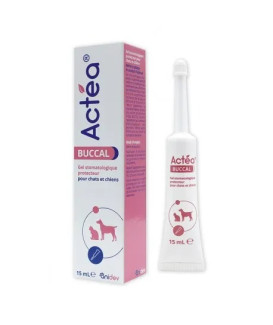 Actea buccal