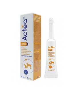 Actea oto