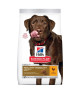 Canine Adult Healthy Mobility Large Breed Poulet