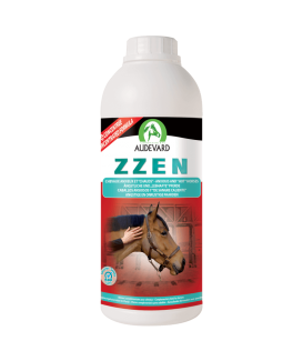 Zzen