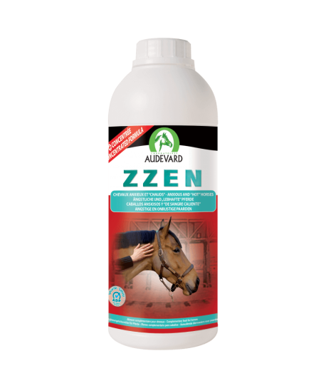 Zzen