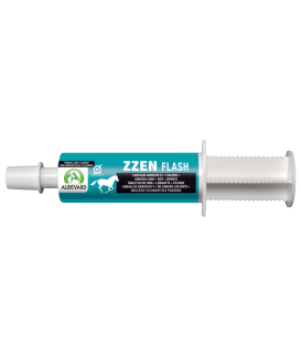 Zzen Flash