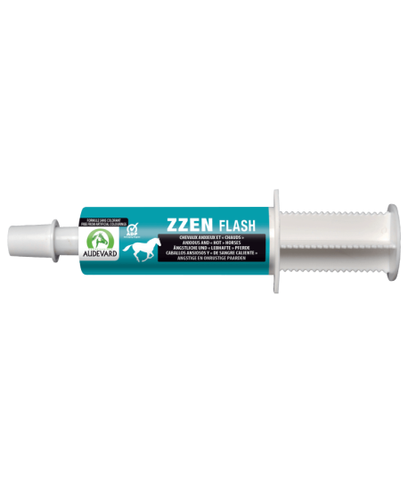 Zzen Flash