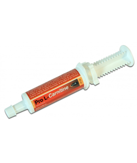 Pro L Carnitine