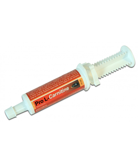 Pro L Carnitine