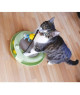 Jouet chat Pop : Scratch Cat Toy