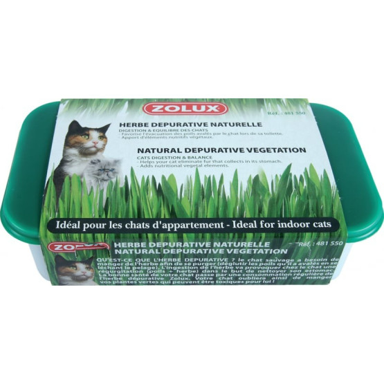 Lot de 2 bacs à plantes pour herbe à chat, herbe à chat