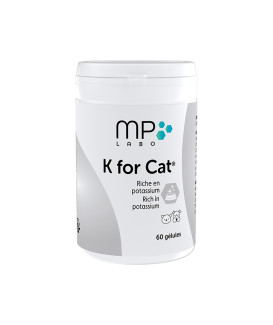 K For Cat