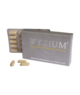 Wyzium