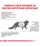 Royal Canin Cat Hepatic