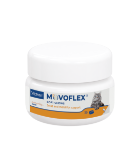 Movoflex Chat