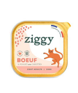 Ziggy Chat Adulte Boeuf Pâtée