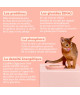 Ziggy Chat Adulte Boeuf Pâtée